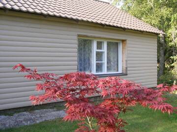 Фото номера Полулюкс Комплексы для отдыха с коттеджами/бунгало Kipi-Koovi Holiday Centre г. Kipi 4